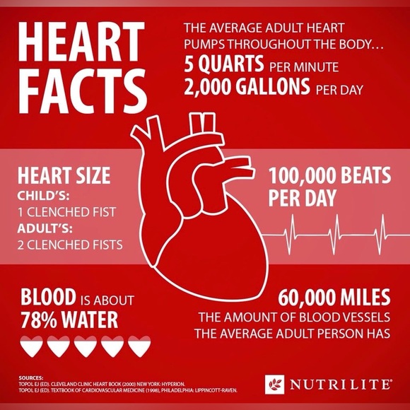 $2 Heart and paw print stainless steel stud earrings. New black. $2 if b… - Picture 10 of 16